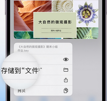 石首apple维修中心分享iPhone文件应用中存储和找到下载文件