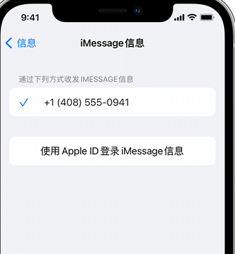 石首apple维修iPhone上无法正常发送iMessage信息 