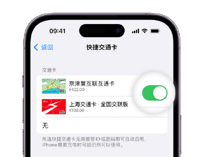 石首apple维修点分享iPhone上更换Apple Pay快捷交通卡手绘卡面 