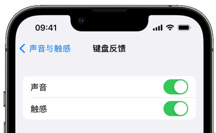 石首苹果手机维修分享iPhone 14触感键盘使用方法 