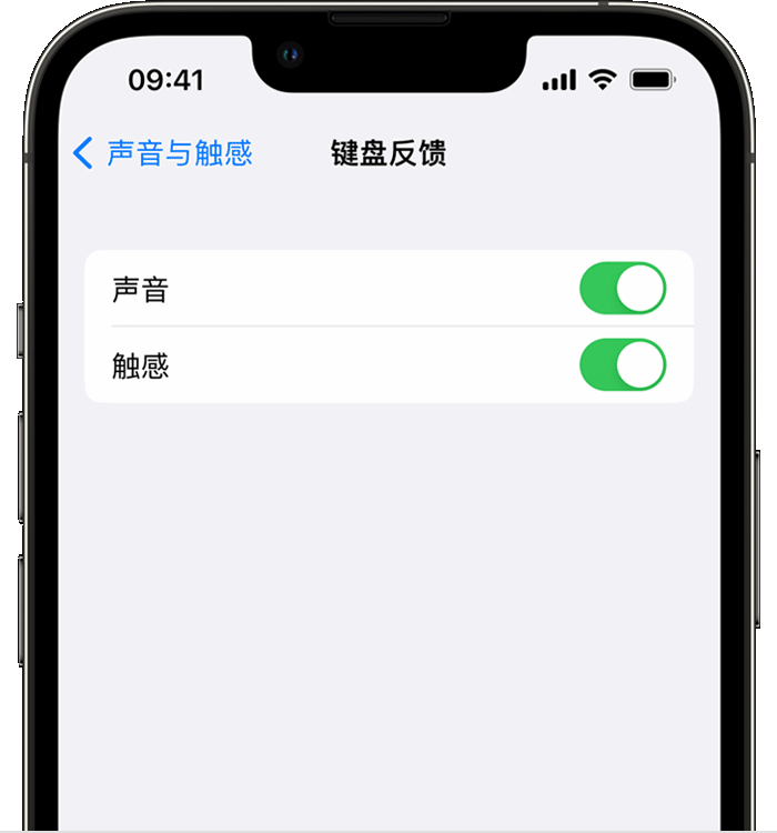 石首苹果14维修店分享如何在 iPhone 14 机型中使用触感键盘 