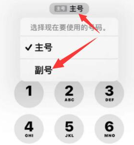 石首苹果14维修店分享iPhone 14 Pro Max使用副卡打电话的方法 