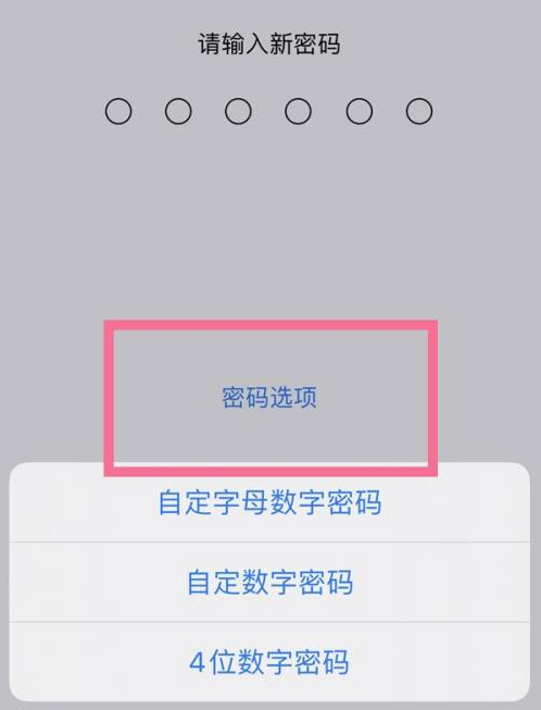 石首苹果14维修分享iPhone 14plus设置密码的方法 