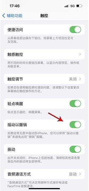 石首苹果手机维修分享iPhone手机如何设置摇一摇删除文字 